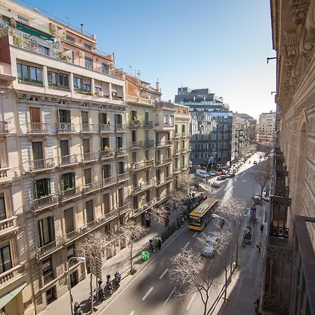 Icon Bcn 4*