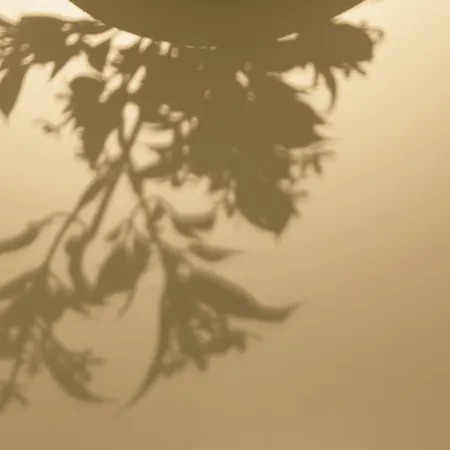 Szálloda Icon Bcn Barcelona