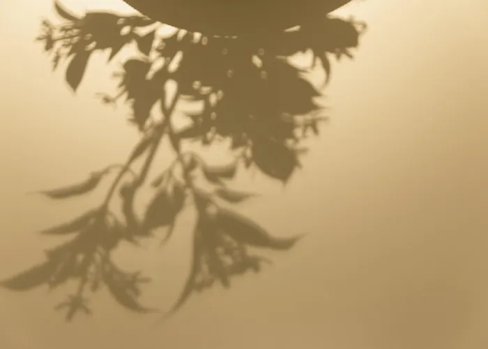 Hotel Icon Bcn Barcelona